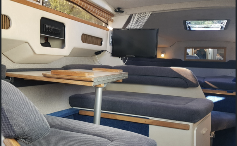 Sea Ray 290 SDA-kuva-6